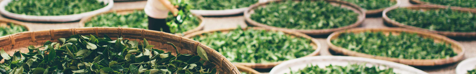 爱游戏体育网页登录